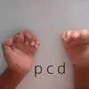 pcd061