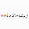 mlxnd