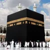 user8630009655217
