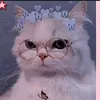 dhewnsx