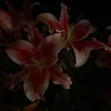 user_44138