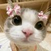 mahdieh3743