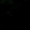 user5618421304421