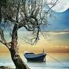 abdalrhim328