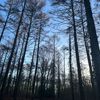 noahbckup6