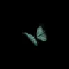 sile_nt99