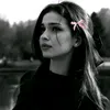 evasalar7