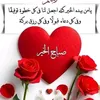 aliiii.abii