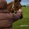 mayadrbj7tf