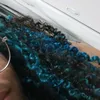 silva_v91