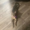 chloe_isthebest6