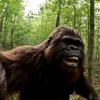 bigfootbanditz