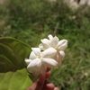 fareda.fareda845