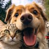 Meow and Woof World