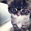 mymycute294