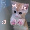 itnotaenggy_
