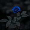 ayoush.68