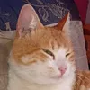 mdmkdkszxew