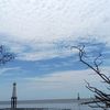 cindy_wan033