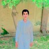 Tahir Awan 🌸🌿