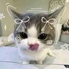 fara_123404