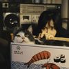 Sunflower _tv