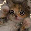 silver_star33