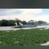 phongnguyen6766