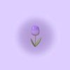 naomi_3m