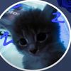 s1lly.bsd_kitty