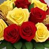 user90139103181560