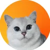 chillcatco