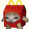 desdecerostopmotion