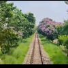 sameer.alom4