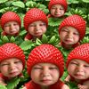 ramida__010