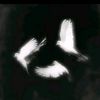 the_1975_aboutyou4
