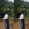 _ainygaasukaamatcha