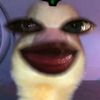 palelopalensiaaaaaaaaaa
