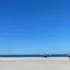 bibotofficial_