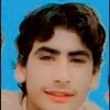 qasim.khan8532