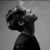 user29510315411081