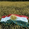 kcha.kurd940
