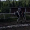 equestrianbebbi