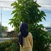 tikaaa_264