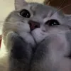 minji0_06