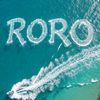 r050303