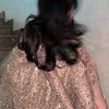 user1203024059509