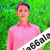 shahbaz.joyia375