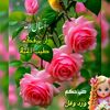 user4719957793607