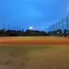 baseball.257
